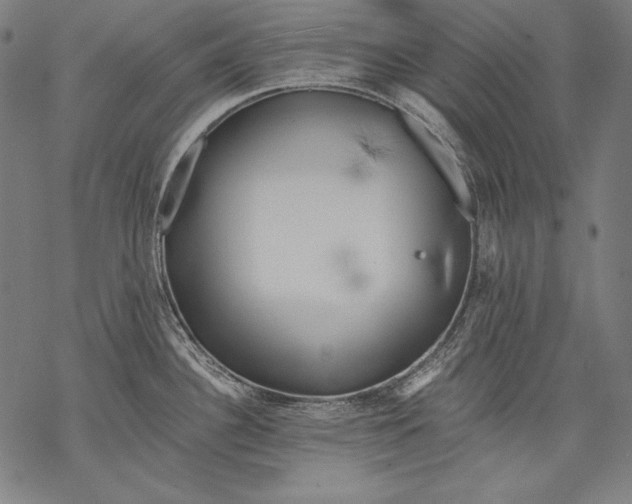 X0000068751340200605191549