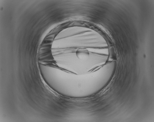 X0000068751342200605191549