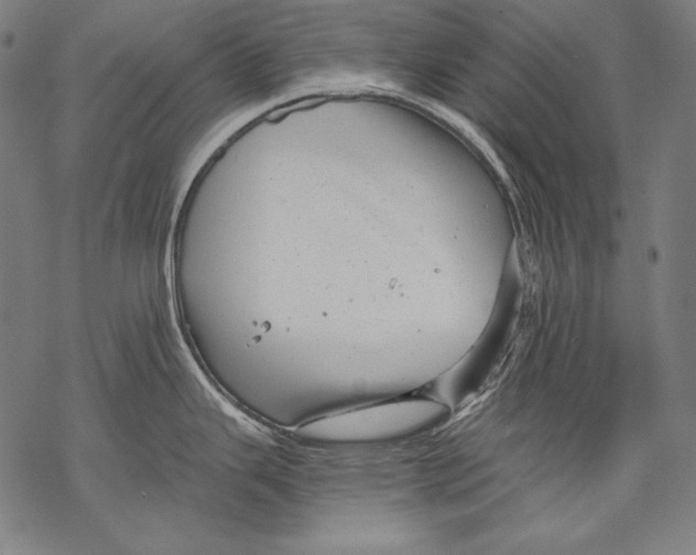 X0000068751343200605191549