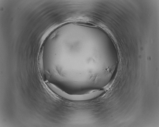 X0000068751344200605191549