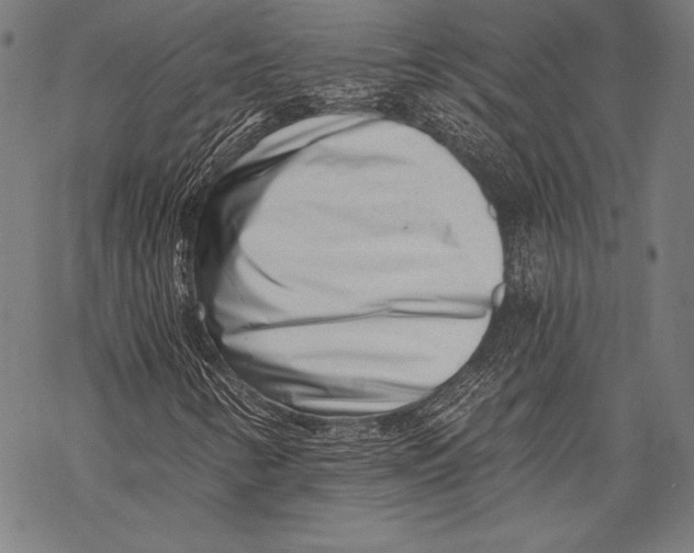 X0000068751346200605191548