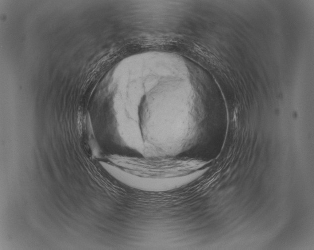 X0000068751348200605191548