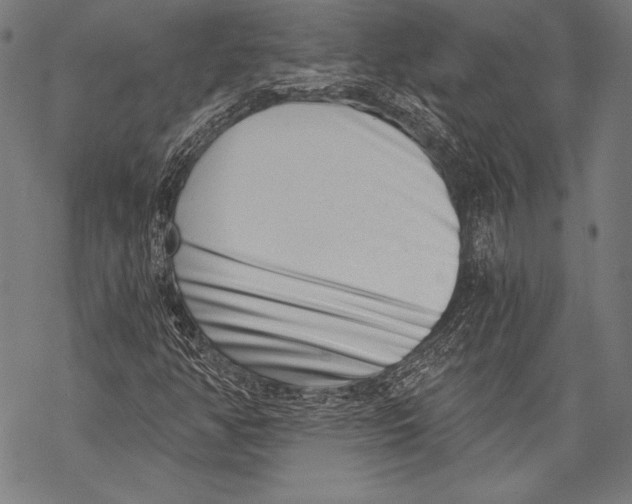 X0000068751350200605191548