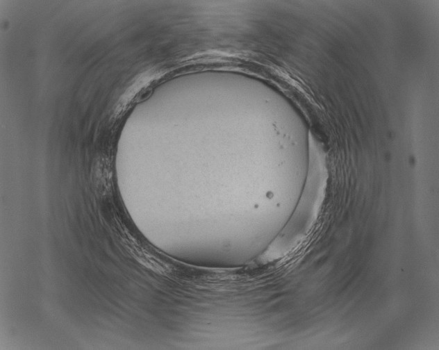 X0000068751355200605191548