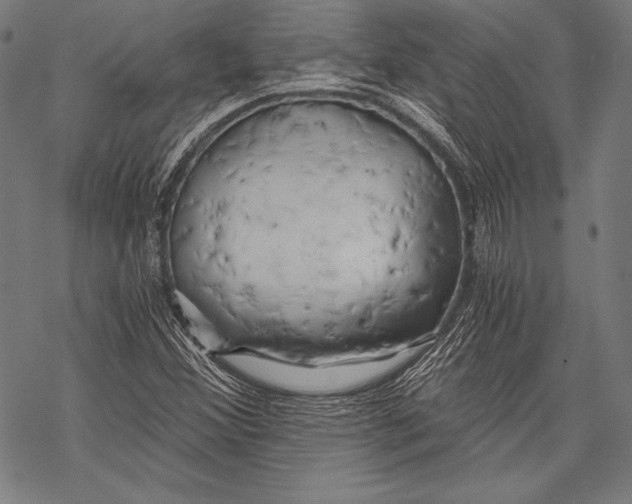 X0000068751356200605191548