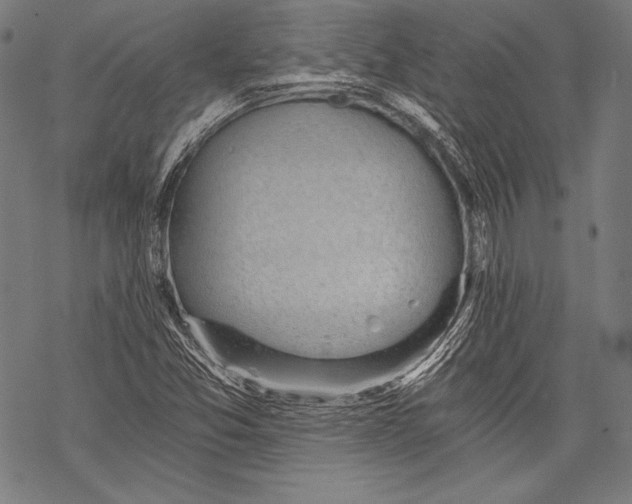 X0000068751357200605191548