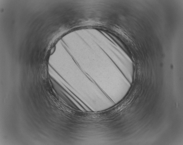 X0000068751358200605191548