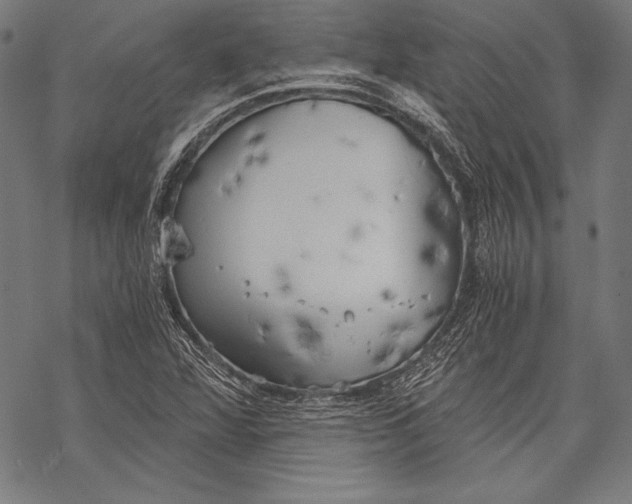 X0000068751360200605191548