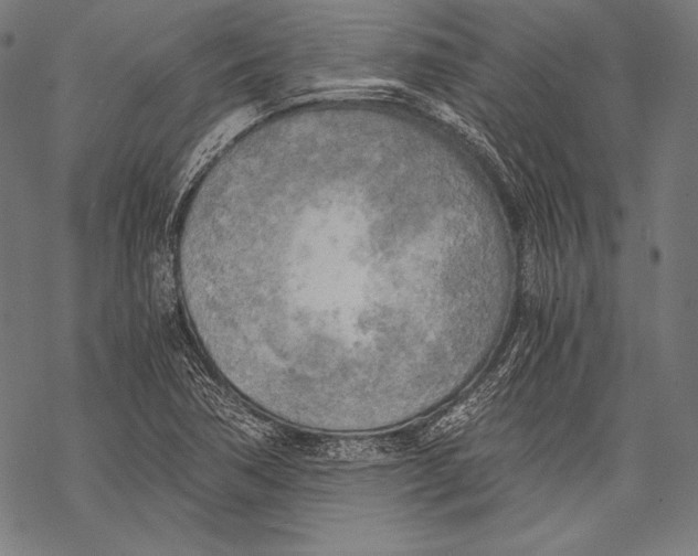 X0000068751362200605191548