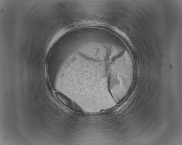 X0000068751365200605191548