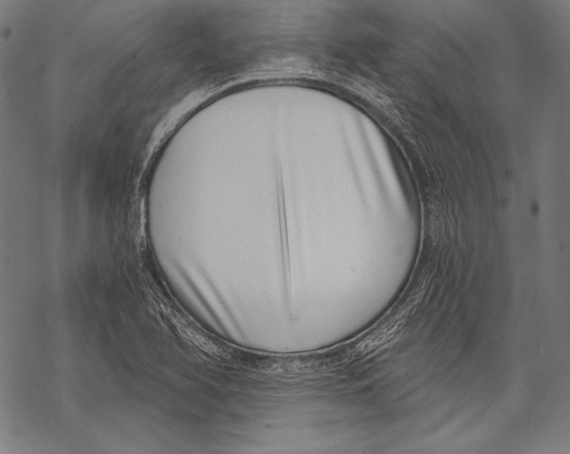 X0000068751366200605191548