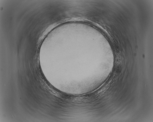 X0000068751367200605191548