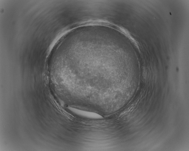 X0000068751368200605191548