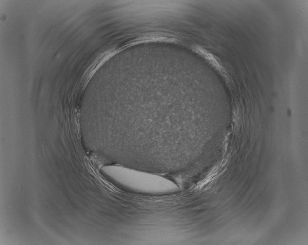 X0000068751369200605191548