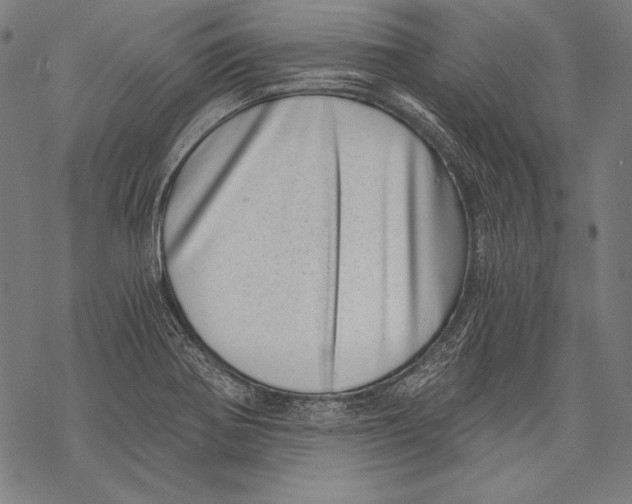 X0000068751370200605191548