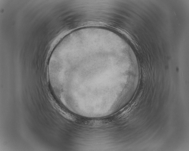 X0000068751371200605191548