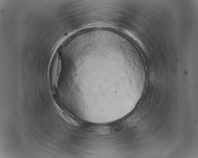 X0000068751372200605191548