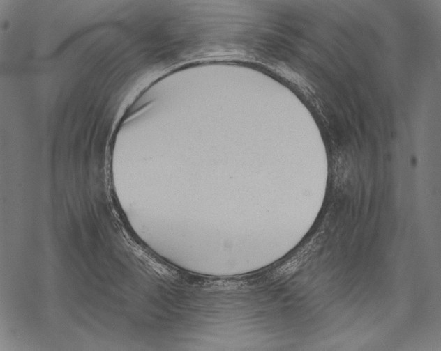 X0000068751374200605191548