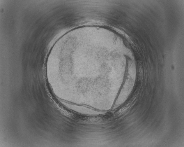 X0000068751375200605191548