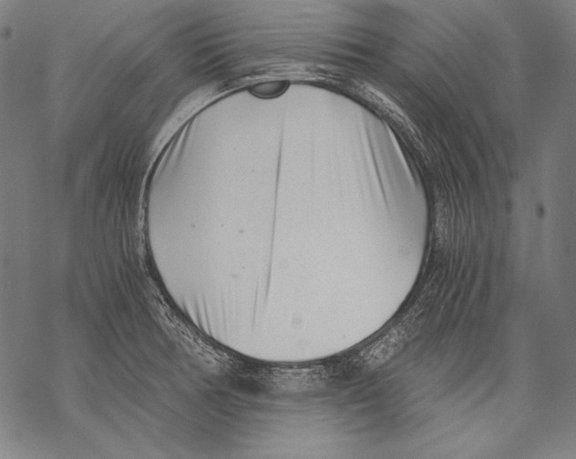 X0000068751378200605191548