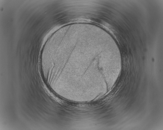 X0000068751379200605191548