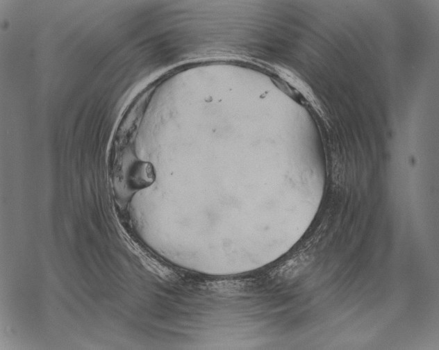 X0000068751380200605191548