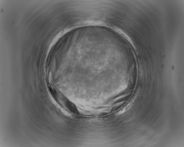 X0000068751381200605191548