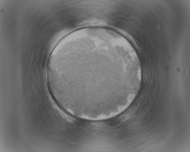 X0000068751383200605191548