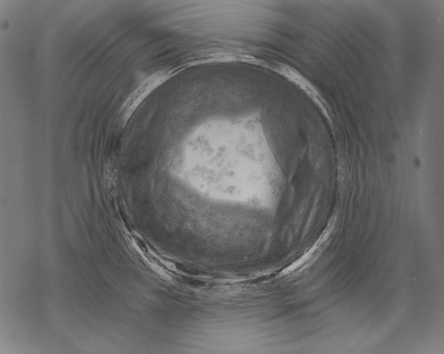 X0000068751385200605191548