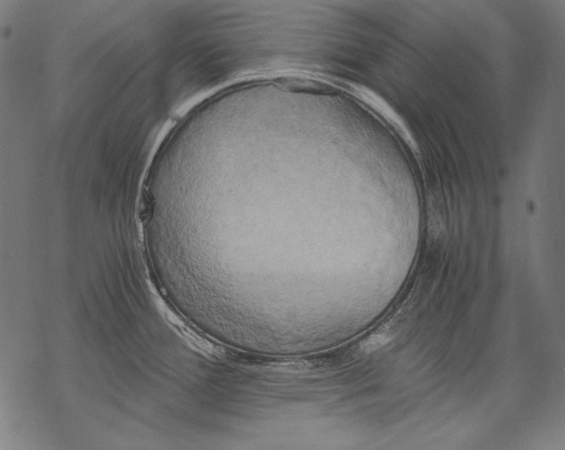 X0000068751388200605191547