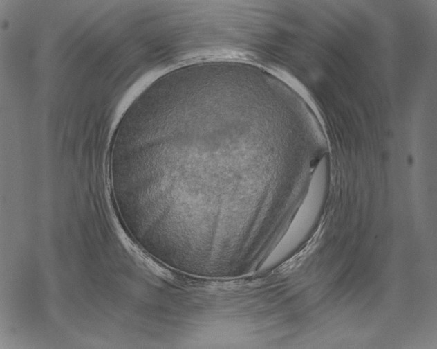 X0000068751389200605191547