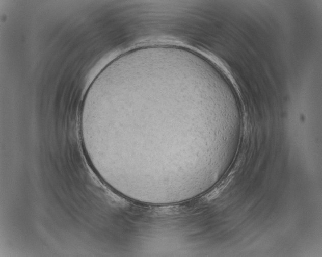 X0000068751390200605191547