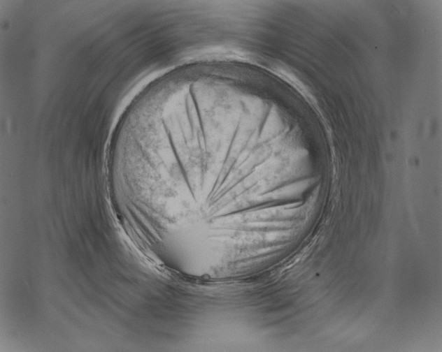 X0000068751392200605191547