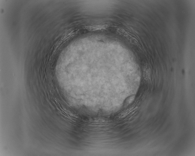 X0000068751393200605191547