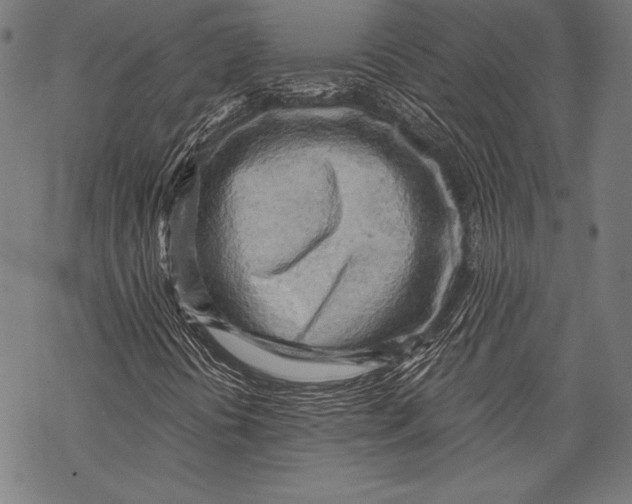 X0000068751394200605191547