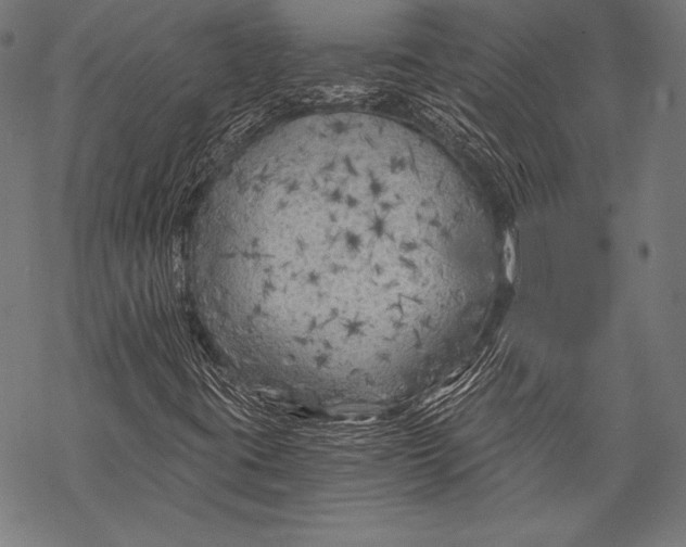 X0000068751395200605191547