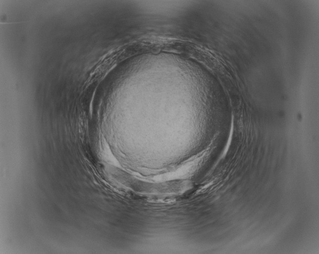 X0000068751397200605191547