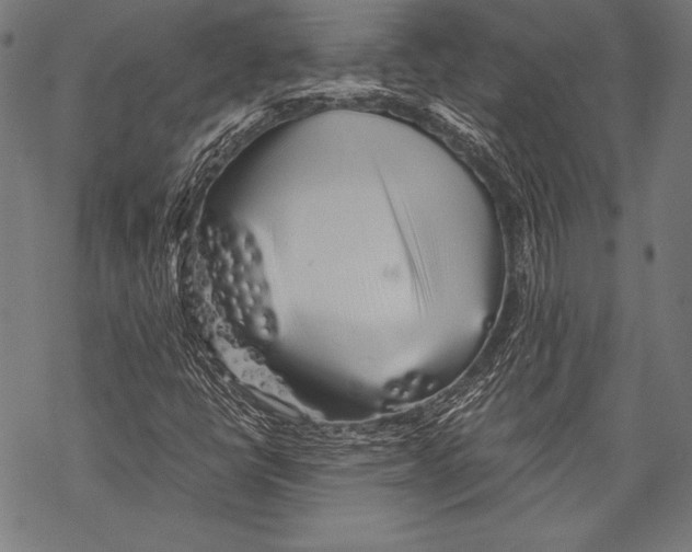 X0000068751398200605191547