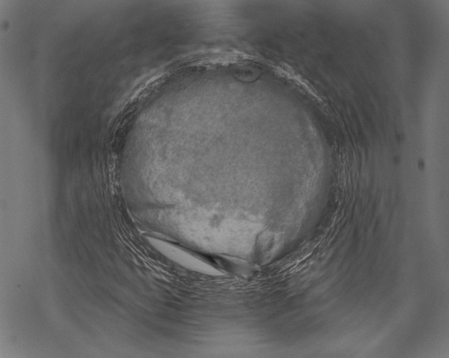 X0000068751399200605191547