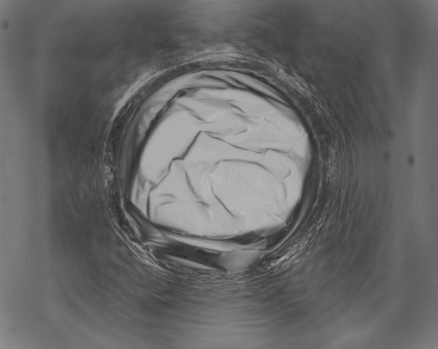 X0000068751400200605191547