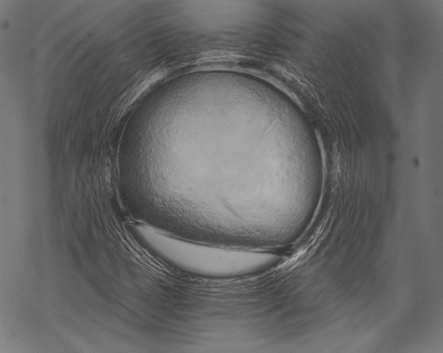 X0000068751401200605191547