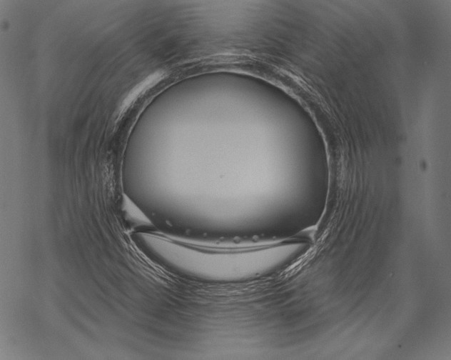 X0000068751402200605191547