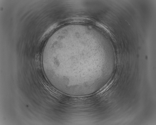 X0000068751403200605191547