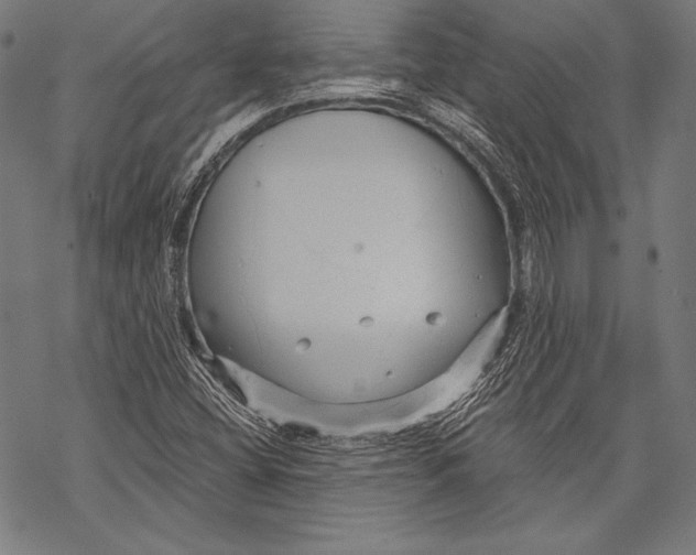 X0000068751404200605191547