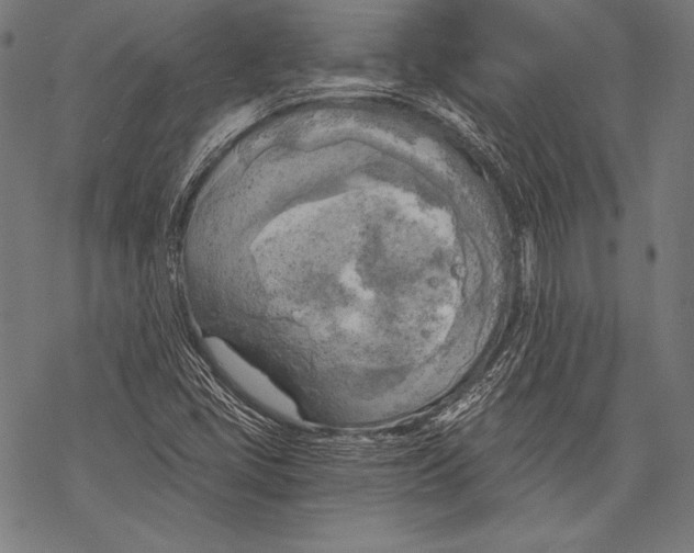 X0000068751405200605191547