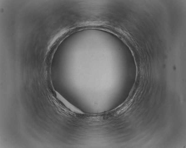 X0000068751406200605191547