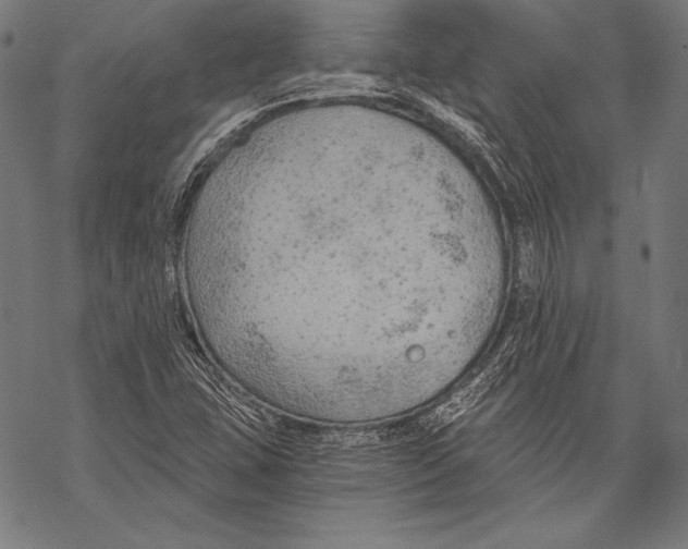 X0000068751407200605191547