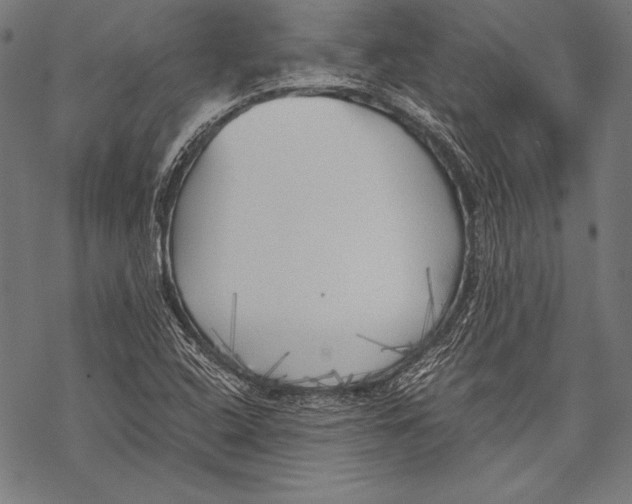 X0000068751408200605191547