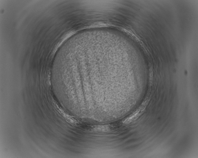 X0000068751409200605191547