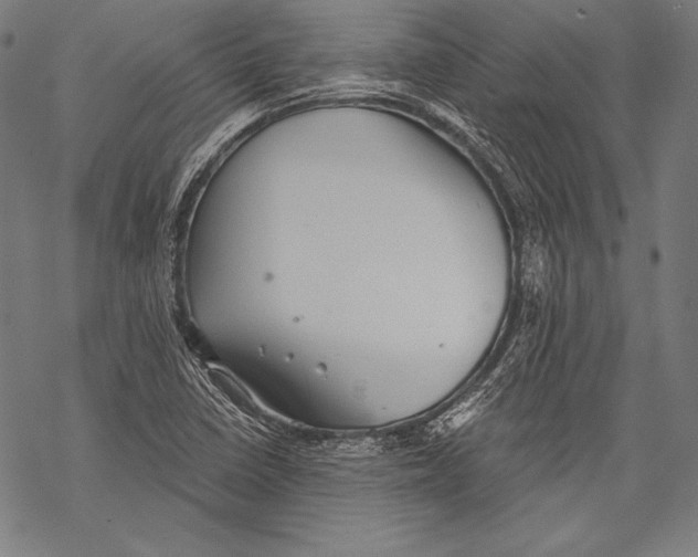 X0000068751410200605191547